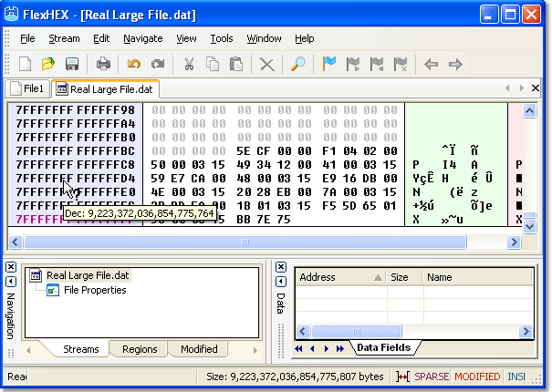 Flex Hex editor handles really huge files