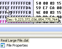 Hex Editor