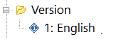 Version Information